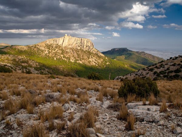 Sierra Espuña: Naturaleza salvaje a un paso de la ciudad